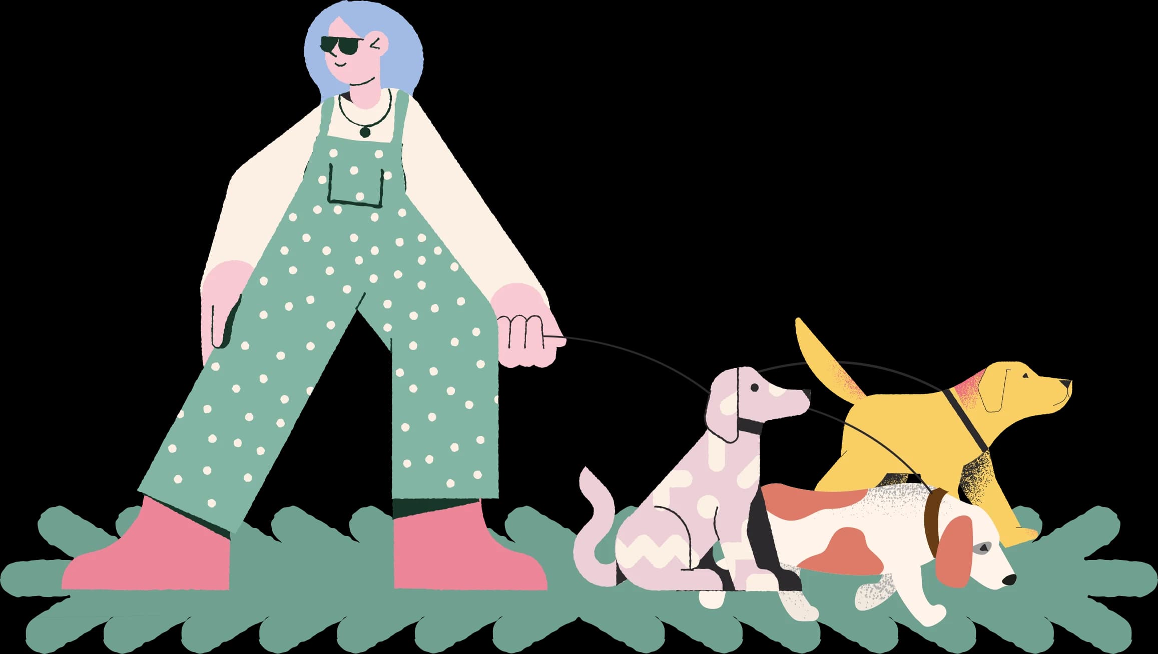 Illustration of Hannah walking three dogs on leads through the grass